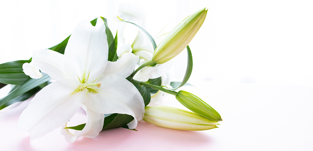 香典返し　相場