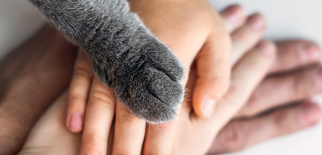 ペットお悔やみ