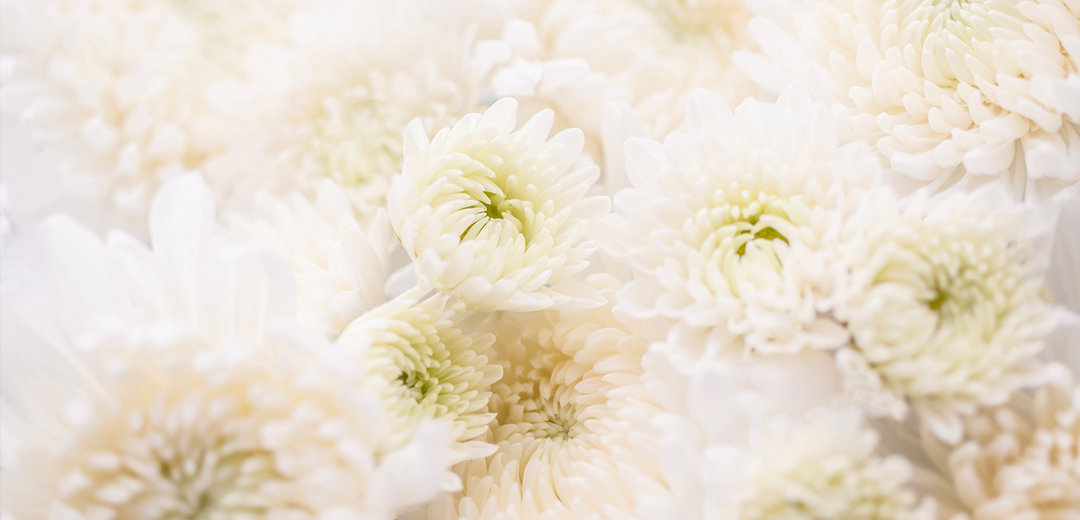 喪中　贈り物　マナー